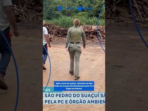 Após morte de peixes, laticínios de São Pedro do Suaçuí são fiscalizados pela PC e órgão ambiental.