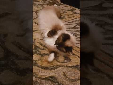 Meet my Greyson & well, KaylE...