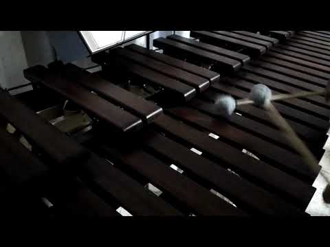 Inni di lode N°81: In nostro soccorso Marimba Cover