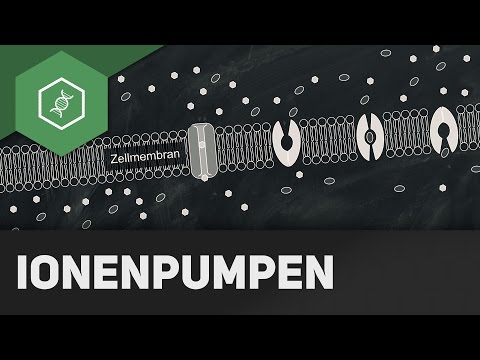 How do ion pumps work?!