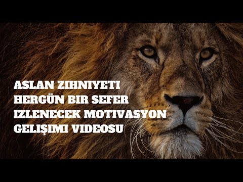Aslan Zihniyeti Hergün bir sefer izlenecek motivasyon gelişimi videosu.