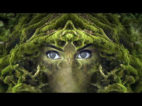 SOUNDS OF DIVINITY WITH NATURE AND SHAMANS- DEEP HEALING AND RELAXATION