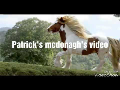 Thomas Doran - the gypsy