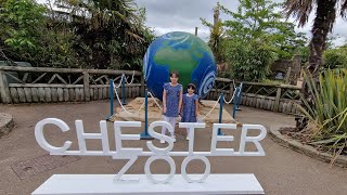 Chester Zoo UK | June 2023 🦁🐅🦒 @chesterzoo