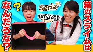 【SLIME】セリア？Amazon？手作り？てさぐりスライム当てゲームに挑戦してみた！〜〜