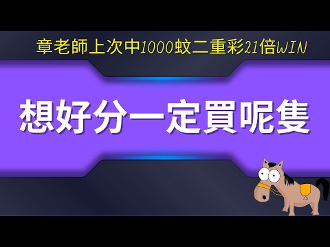 【香港賽馬】【賽馬貼士】想好分一定買呢隻