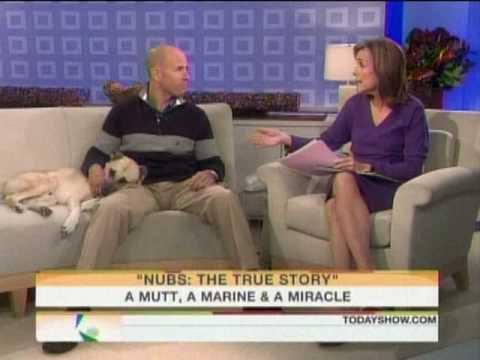 Nubs: The True Story of a Mutt, a Marine & a Miracle on TODAY