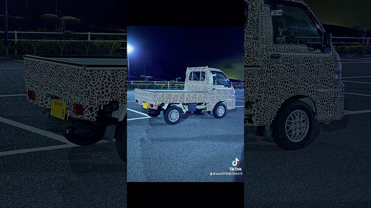 #軽トラ女子　#ヒョウ柄