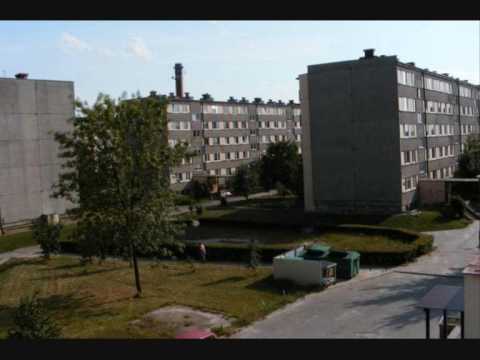 Projekt SNK - Potrafie