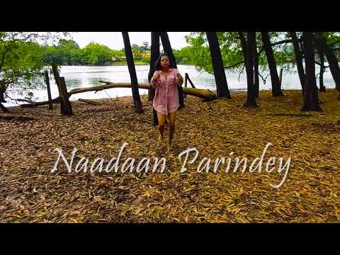 Pranita Bandi Naadan pari...