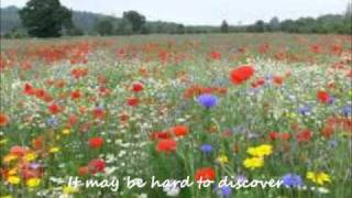 Don't let the sun catch you crying - Paul Carrack