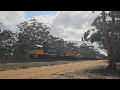 6PM6 PN "Linfox Express", Perth to Melbourne, 1542, 9/9/24, Stawell West VIC