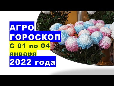 , title : 'Агрогороскоп с 01 по 04 января 2022 года'