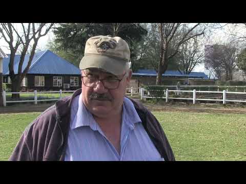 CORRIE LENSLEY ALESIAN CHIEF MERCURY SPRINT