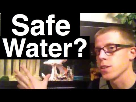 Safe Water for Betta Fish? Tap Water?