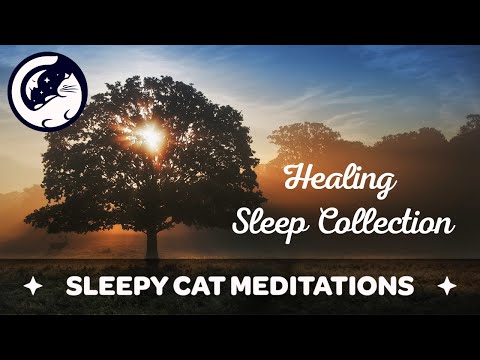 The Healing Sleep Collection (Muscle Relaxation, Sleep Meditation for Anxiety & Guided Sleep Story)