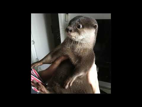 [SOLD] experimental hard techno type beat - "DANNY"