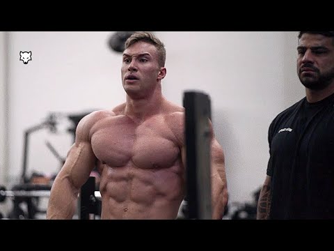 BAD WOLF 🐺 - Gabriel Zancanelli