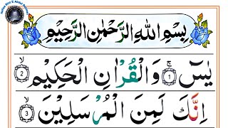 Download lagu 036 Surah Yaseen Full [Surah Yasin Recitation with HD Arabic Text] Surah Yaseen Pani Patti Voice mp3