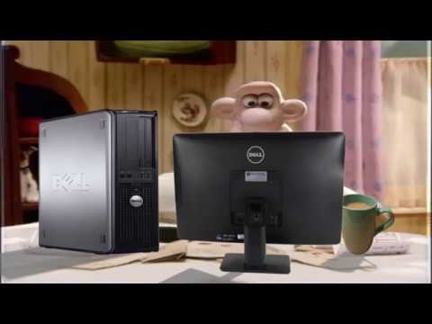 Wallace Reacts To Getting 1,000 Subscribers