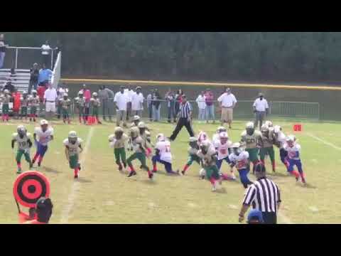 Parkview vs grayson 8u playoffs 2017