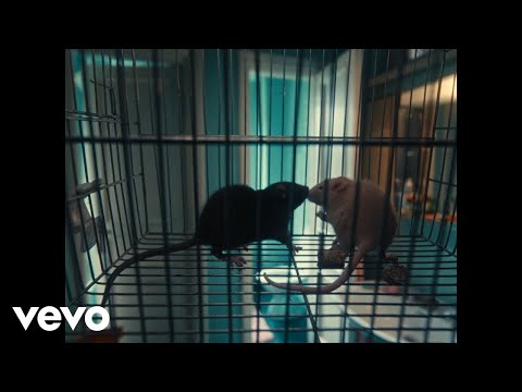 Olly, Angelina Mango, Juli - Per due come noi (Visual Video)