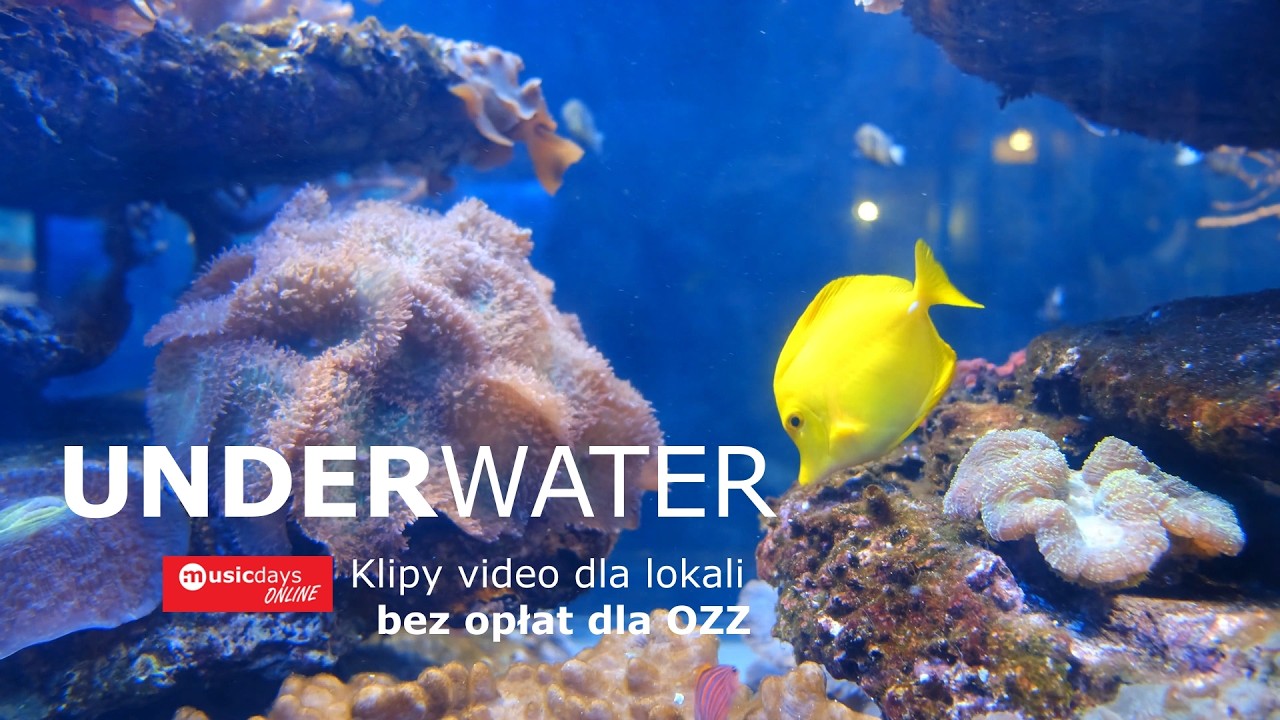 YouTube - UNDERWATER