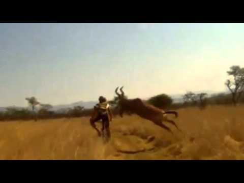 Re: Mountain Biker gets taken out by BUCK - CRAZY Footage - Only in Africa