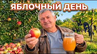 A bumper apple crop means more work! An autumn day near Vilnius | Apples, juice, and grapes.