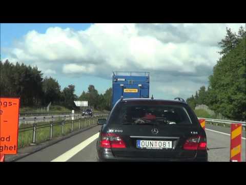 Vägarbete och köer på E4:an
