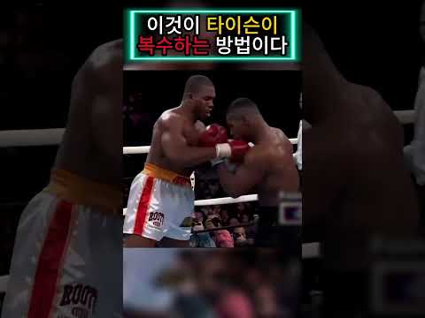 타이슨의 복수는 필연적이었다 🥊🤯