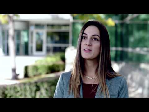 A Day in the Life of a Data Analyst