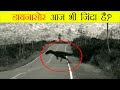 When Real Dinosaurs Were Captured On Camera Real Dinosaurs Caught In Camera Dinosaurs Dino