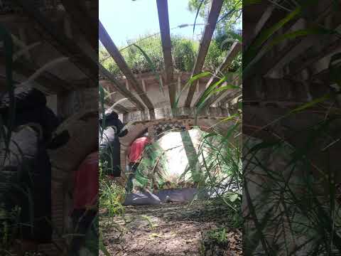 VISITANDO LA CASONA DEL BARRANCO DE LA CIUDAD DE PUEBLO ESTHER🤣jajaja.