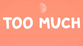 Girl In Red - Too Much (Lyrics)