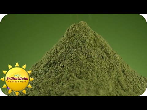 Does green make you healthy? What can powdered greens actually do? | SAT.1 Breakfast Television