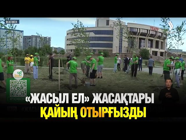 «Жасыл ел» жасақтары қайың көшеттерін отырғызды
