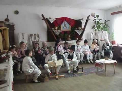 Cerc Madulari-Cernisoara 2013