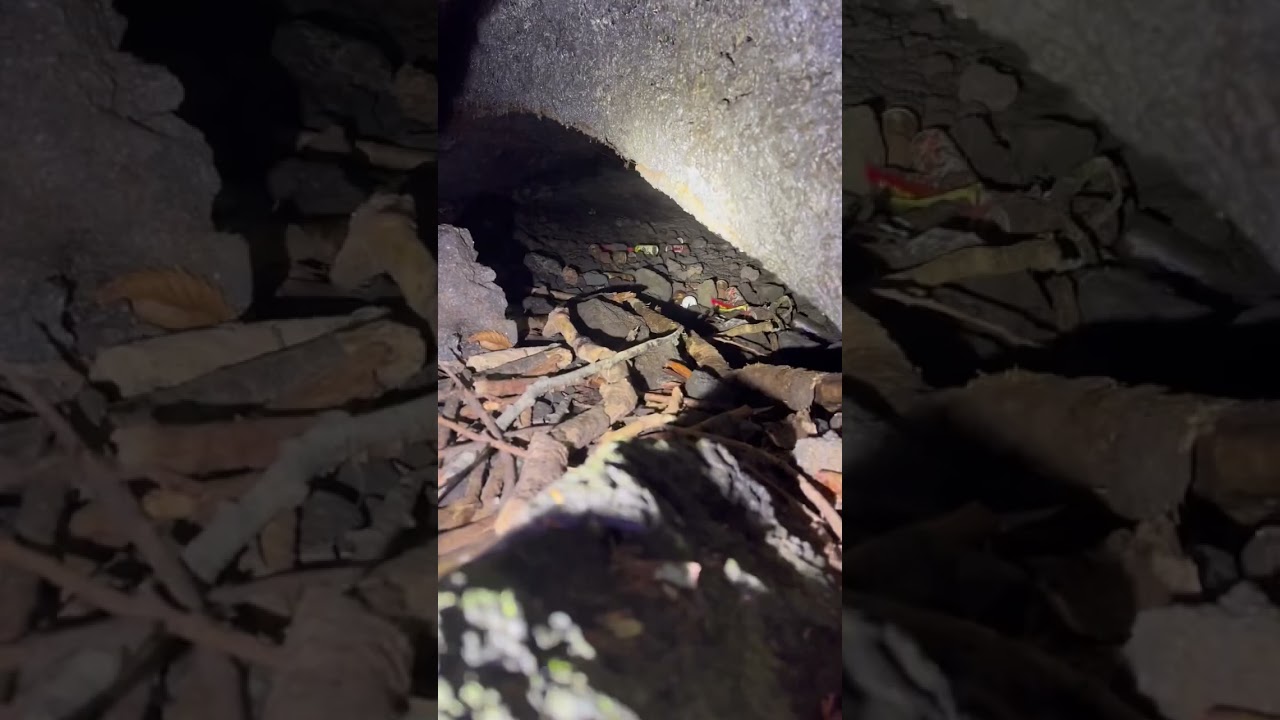 YouTube Short thumbnail