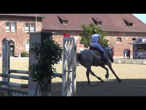 Cotonou von Clarimo x Carpaccio