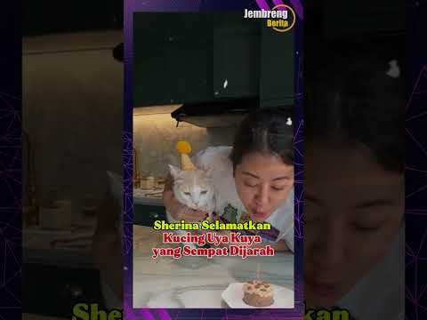 Sherina Saves Uya Kuya's Cat That Was Looted by the Mob #sherina #uyakuya #entertainment