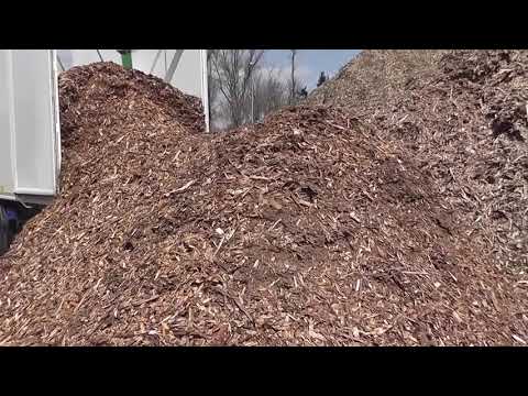 Полуприцеп STAS Biostar процесс разгрузки щепы, отходов деревообработки