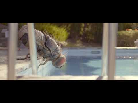 Mandibules teaser official from Venice Film Festival