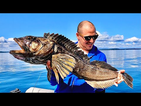 DEEP SEA MONSTER Fishing! SOLO Catch, Cook & Camp!!!