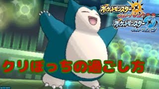 クリスマスに間に合わなかった動画【ポケモンUSUM】