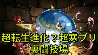 【実況パズドラ】こいつも動くように！！超寒ブリ　裏闘技場