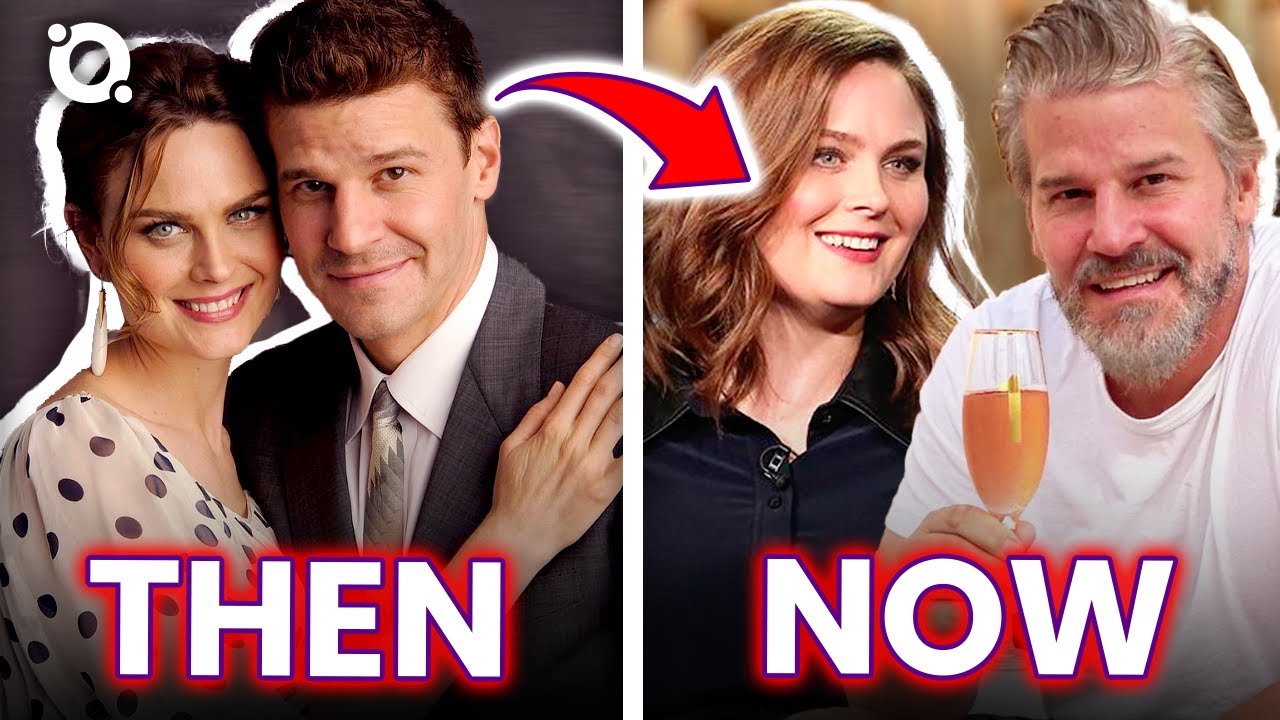 How many seasons are there of the TV show Bones?