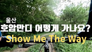울산 호암만디 어떻게 가나요 show me the way/알루미늄자전거에대한 생각.