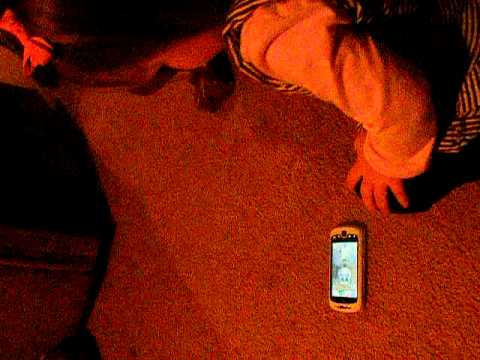 Auri getting mad at the cat ap