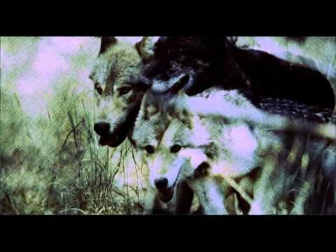 MoSS feat. REKS "Lost In My World"